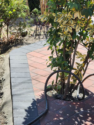 IMG 20250319 WA0749